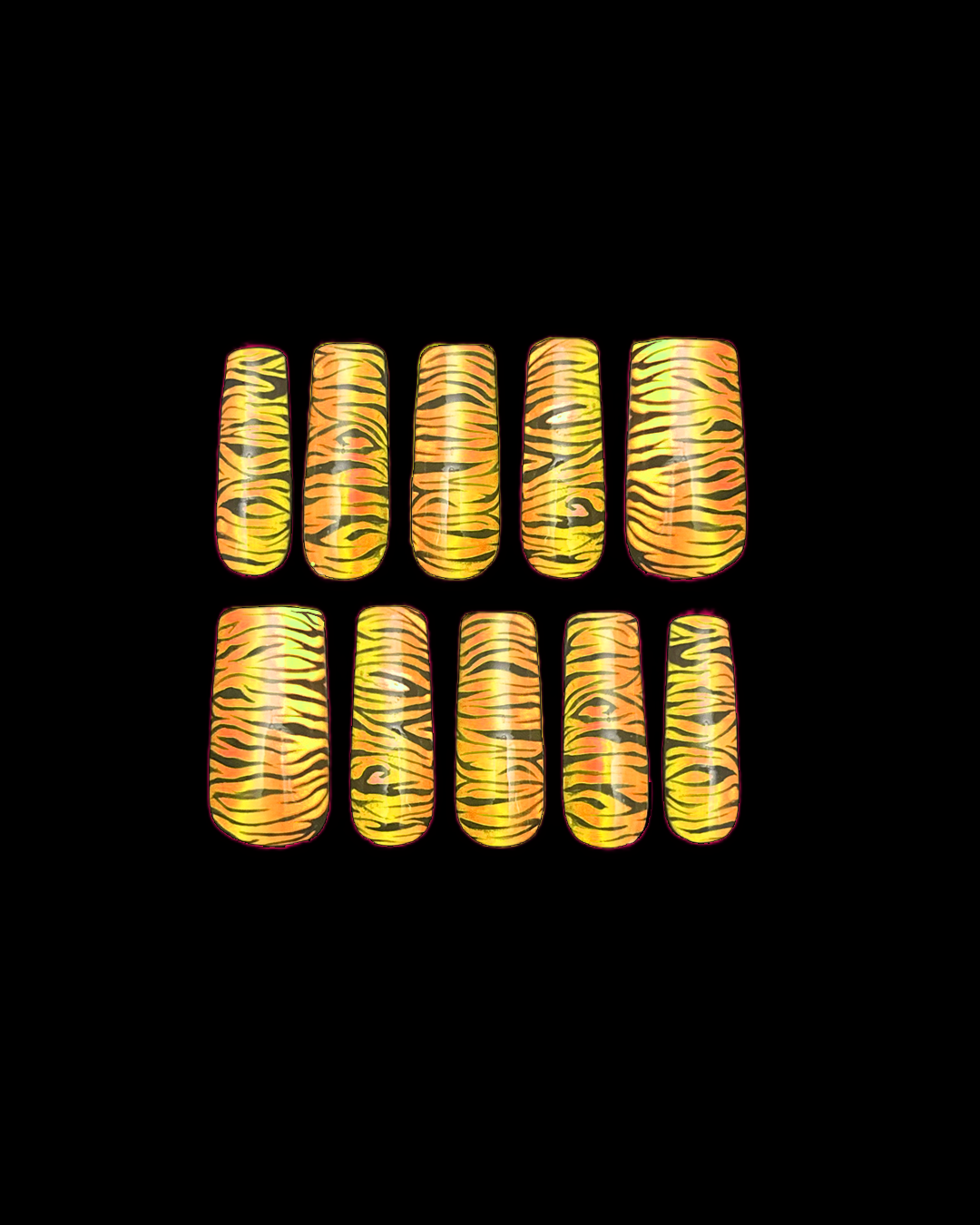 Ombré zebra print