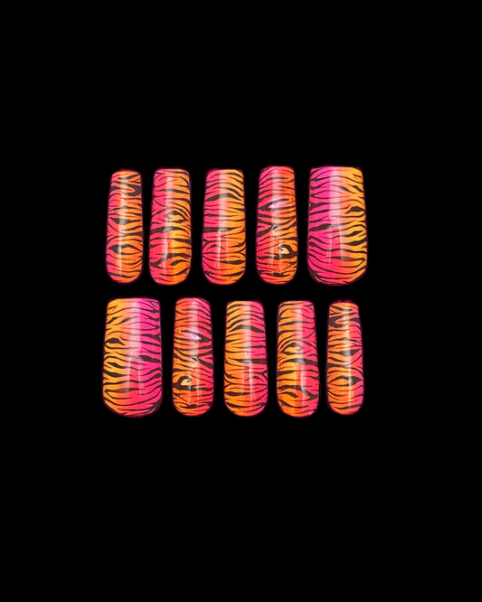 Ombré zebra print